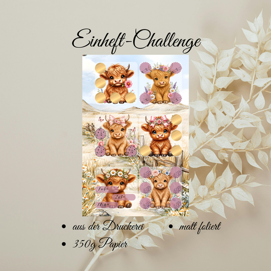 Flower Babes Einheft-Challenge ( Achtung B-Ware )